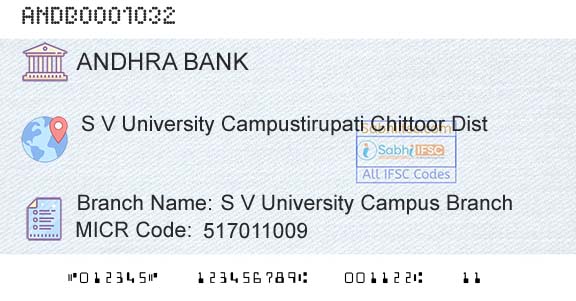 Andhra Bank S V University Campus BranchBranch 