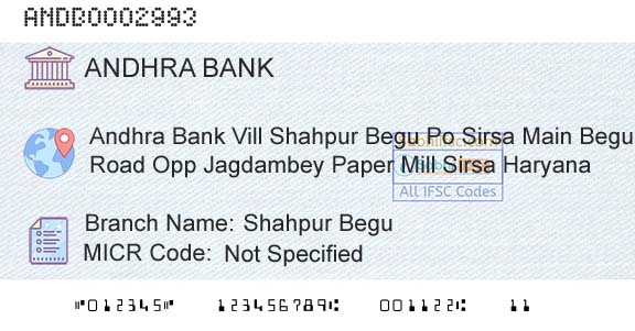 Andhra Bank Shahpur BeguBranch 