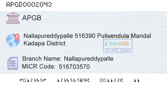 Andhra Pragathi Grameena Bank NallapureddypalleBranch 