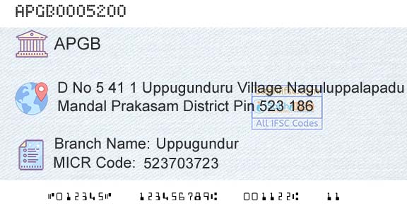 Andhra Pragathi Grameena Bank UppugundurBranch 