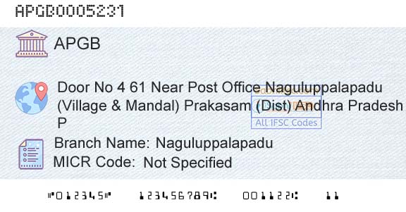 Andhra Pragathi Grameena Bank NaguluppalapaduBranch 
