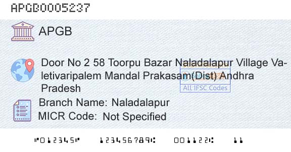 Andhra Pragathi Grameena Bank NaladalapurBranch 