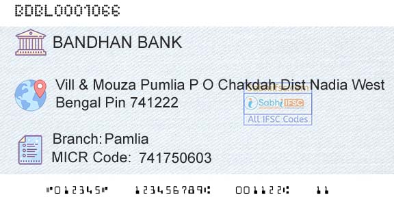 Bandhan Bank Limited PamliaBranch 