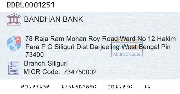 Bandhan Bank Limited SiliguriBranch 