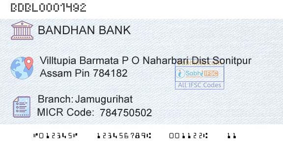 Bandhan Bank Limited JamugurihatBranch 