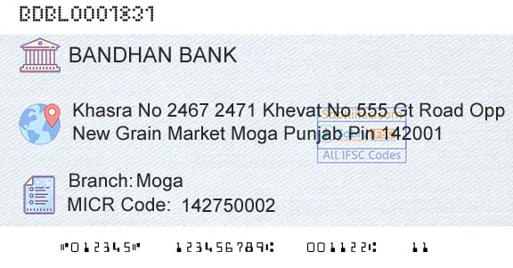 Bandhan Bank Limited MogaBranch 