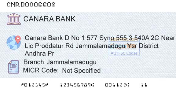 Canara Bank JammalamaduguBranch 