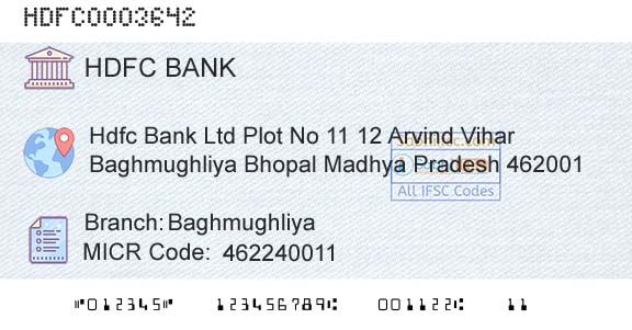 Hdfc Bank BaghmughliyaBranch 