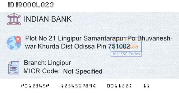 Indian Bank LingipurBranch 