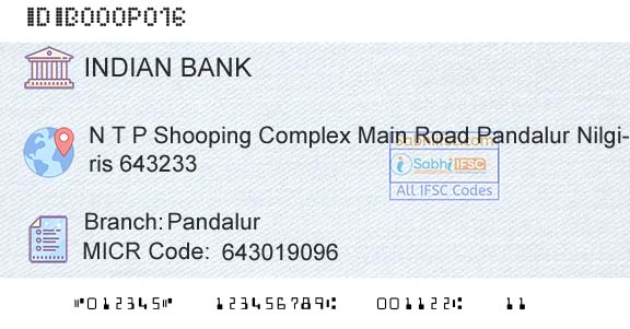 Indian Bank PandalurBranch 