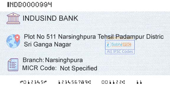 Indusind Bank NarsinghpuraBranch 