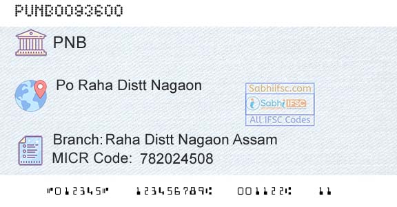 Punjab National Bank Raha Distt Nagaon Assam Branch 