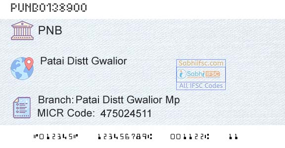 Punjab National Bank Patai Distt Gwalior Mp Branch 