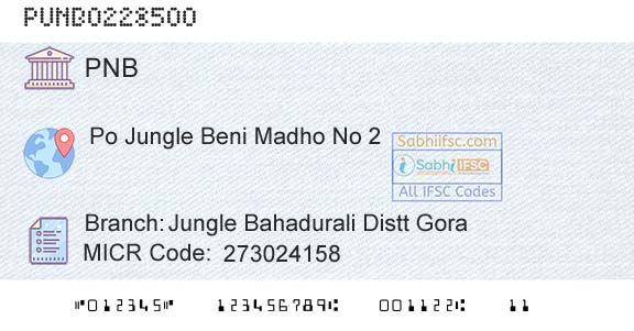 Punjab National Bank Jungle Bahadurali Distt GoraBranch 