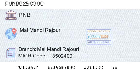 Punjab National Bank Mal Mandi RajouriBranch 
