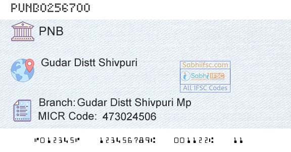 Punjab National Bank Gudar Distt Shivpuri Mp Branch 