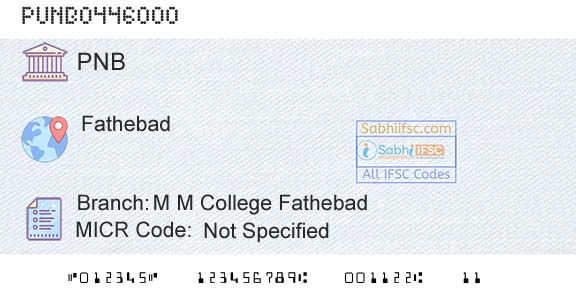 Punjab National Bank M M College FathebadBranch 