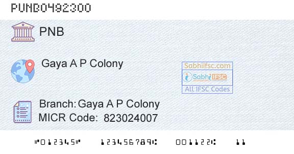 Punjab National Bank Gaya A P ColonyBranch 