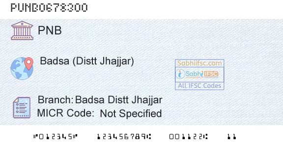 Punjab National Bank Badsa Distt Jhajjar Branch 