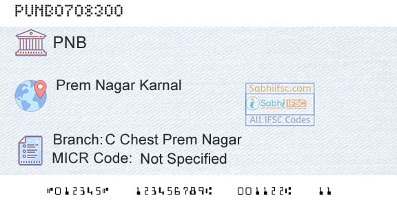 Punjab National Bank C Chest Prem NagarBranch 