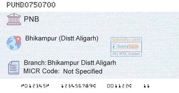 Punjab National Bank Bhikampur Distt Aligarh Branch 