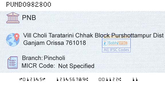 Punjab National Bank PincholiBranch 