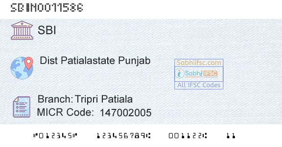 State Bank Of India Tripri PatialaBranch 