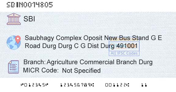 State Bank Of India Agriculture Commercial Branch DurgBranch 
