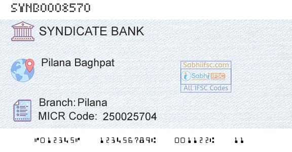 Syndicate Bank PilanaBranch 