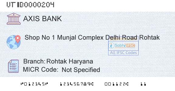 Axis Bank Rohtak Haryana Branch 