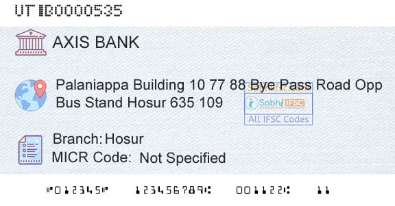 Axis Bank HosurBranch 