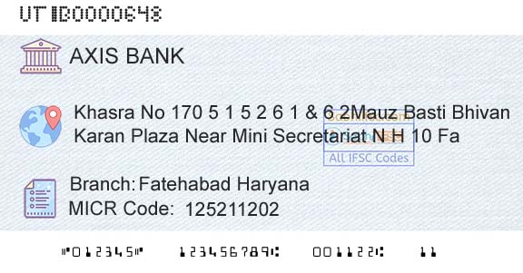 Axis Bank Fatehabad Haryana Branch 