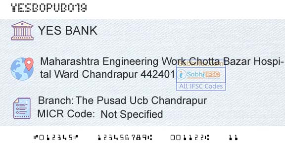 Yes Bank The Pusad Ucb ChandrapurBranch 