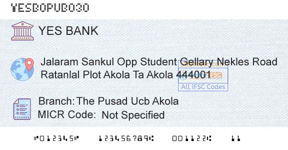Yes Bank The Pusad Ucb AkolaBranch 